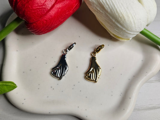 Charms Anima